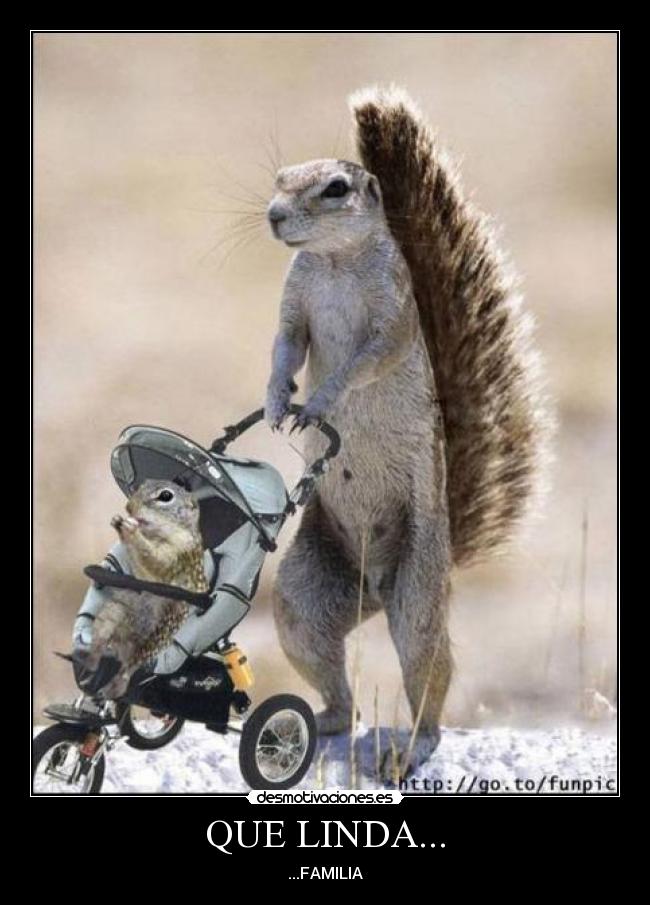 QUE LINDA... - ...FAMILIA