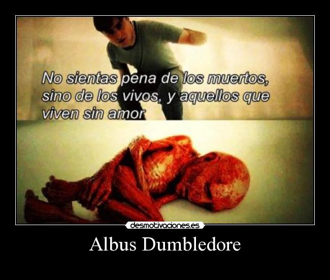 Albus Dumbledore -