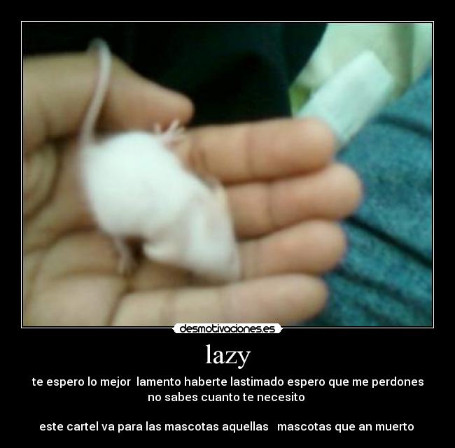 lazy -