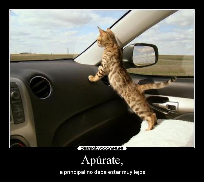 Apúrate, - 