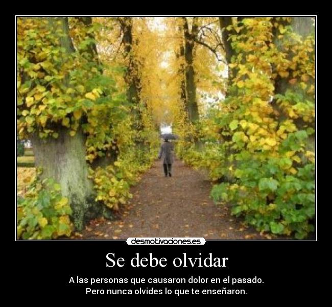 carteles olvidar dayana desmotivaciones