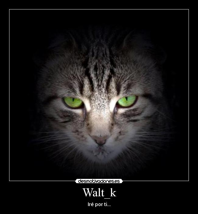 Walt_k - Iré por ti...