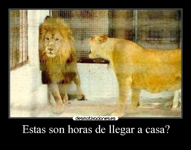Estas son horas de llegar a casa? -