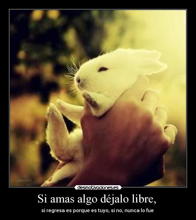 carteles amor desmotivaciones