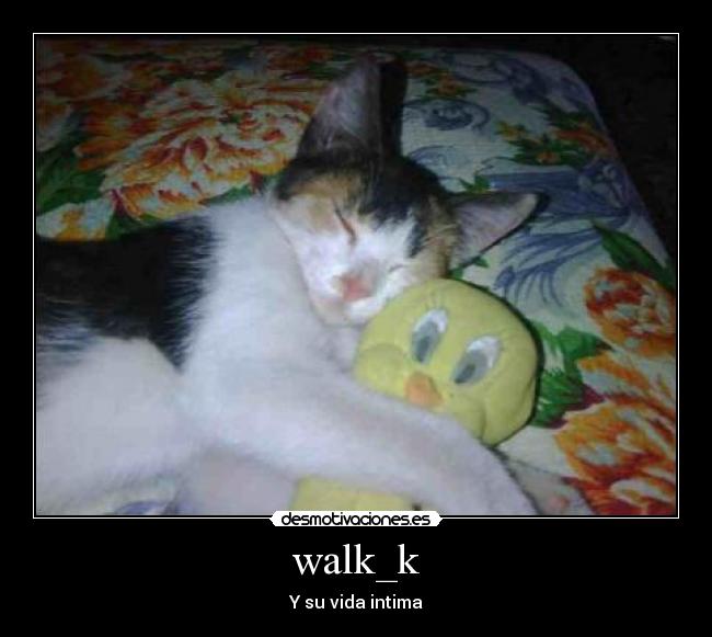 walk_k -