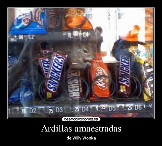 carteles ardillas willy wonka desmotivaciones