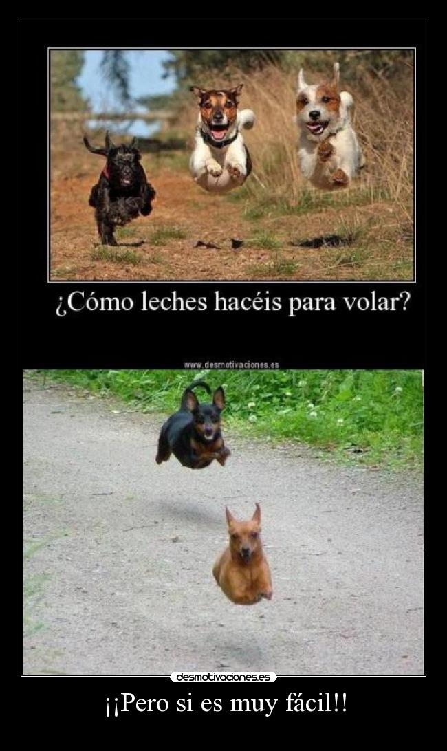 ¡¡Pero si es muy fácil!! -