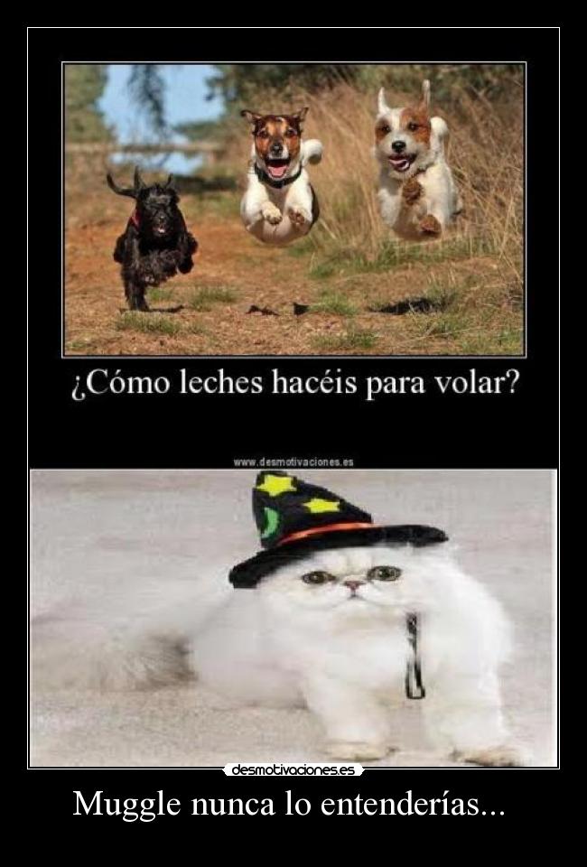 Muggle nunca lo entenderías... -