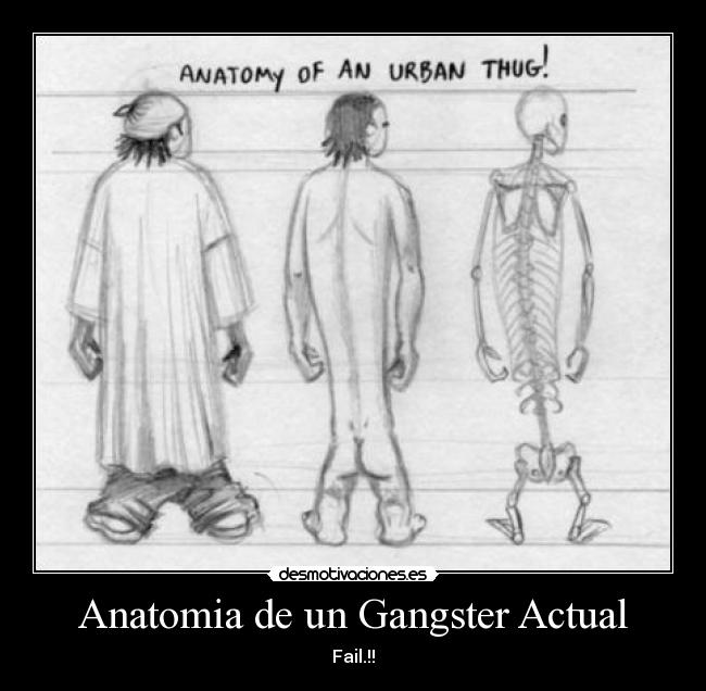 Anatomia de un Gangster Actual - 