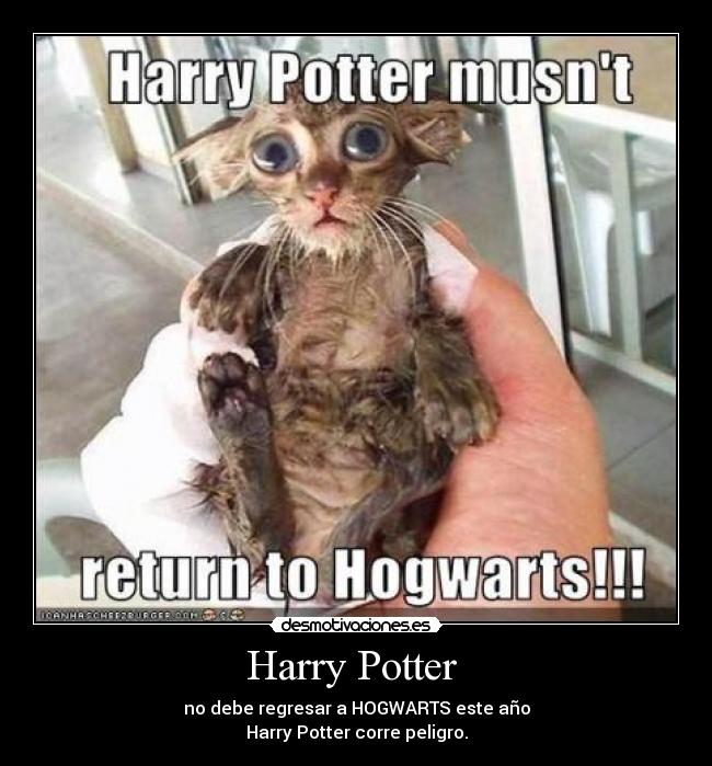 Harry Potter - no debe regresar a HOGWARTS este año
Harry Potter corre peligro.