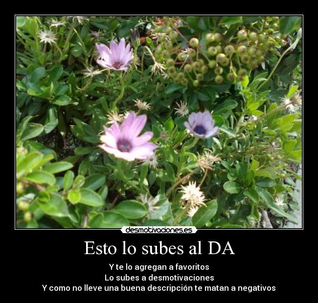 Esto lo subes al DA - Y te lo agregan a favoritos
Lo subes a desmotivaciones
Y como no lleve una buena descripción te matan a negativos