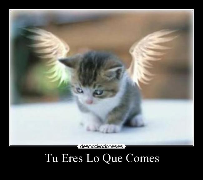 Tu Eres Lo Que Comes - 