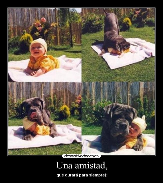 Una amistad, - 