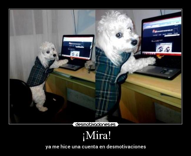 ¡Mira! - ya me hice una cuenta en desmotivaciones