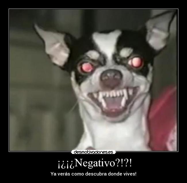 ¡¿¡¿Negativo?!?! -