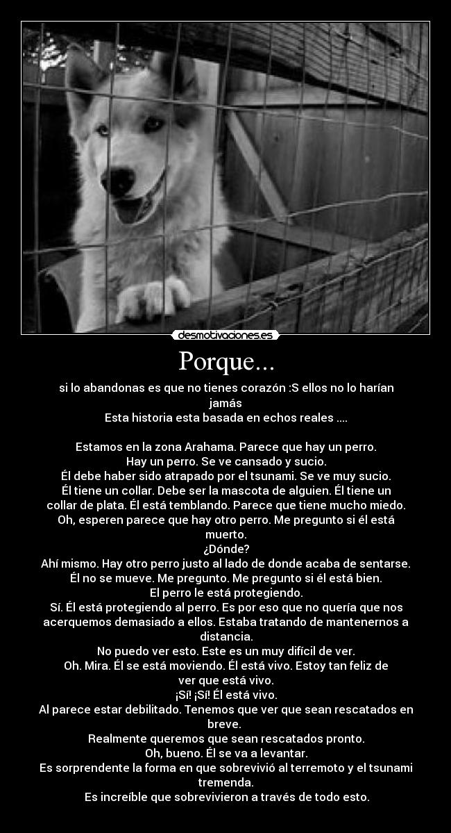 Porque... - 