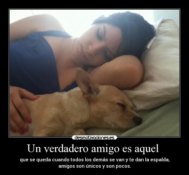 Un verdadero amigo es aquel - que se queda cuando todos los demás se van y te dan la espalda,
amigos son únicos y son pocos.