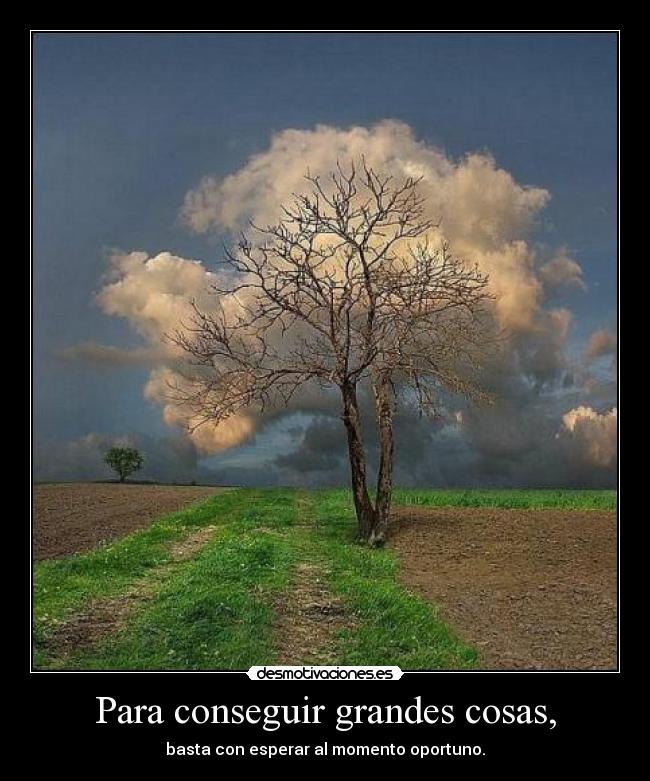 Para conseguir grandes cosas, -