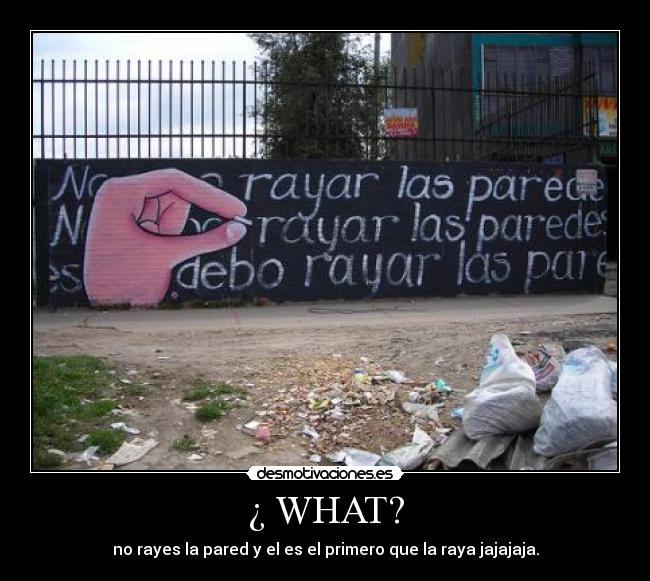 ¿ WHAT? -