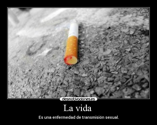 La vida - Es una enfermedad de transmisión sexual.