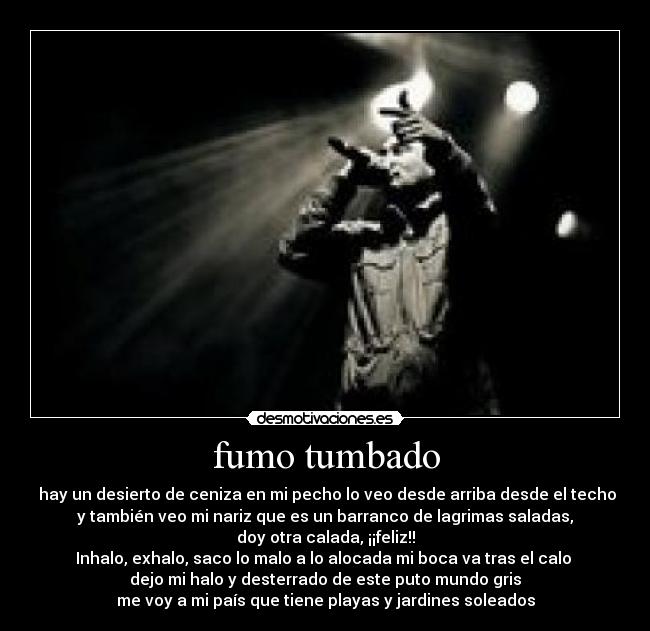 fumo tumbado - 