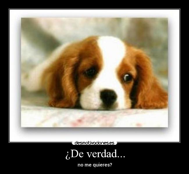 ¿De verdad... -