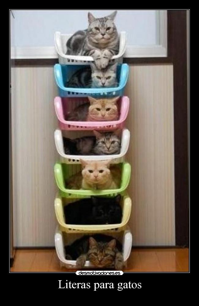 Literas para gatos - 