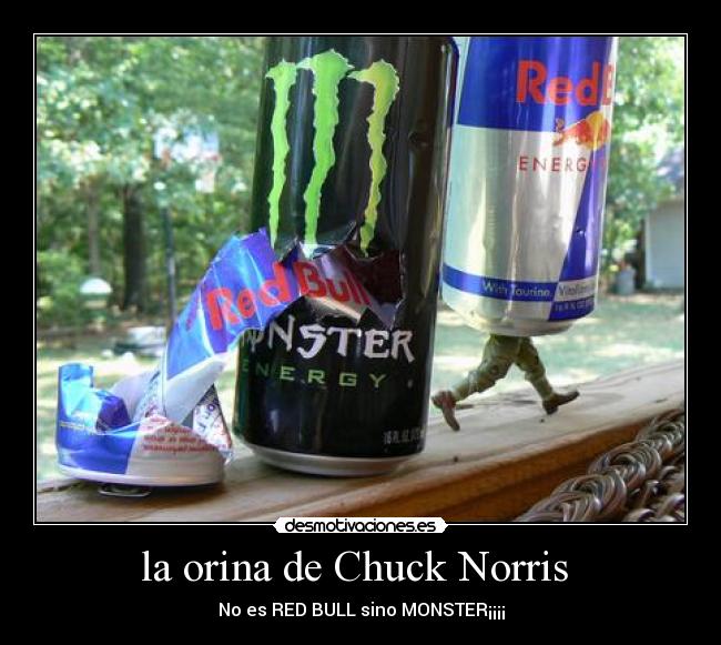 la orina de Chuck Norris  - 
