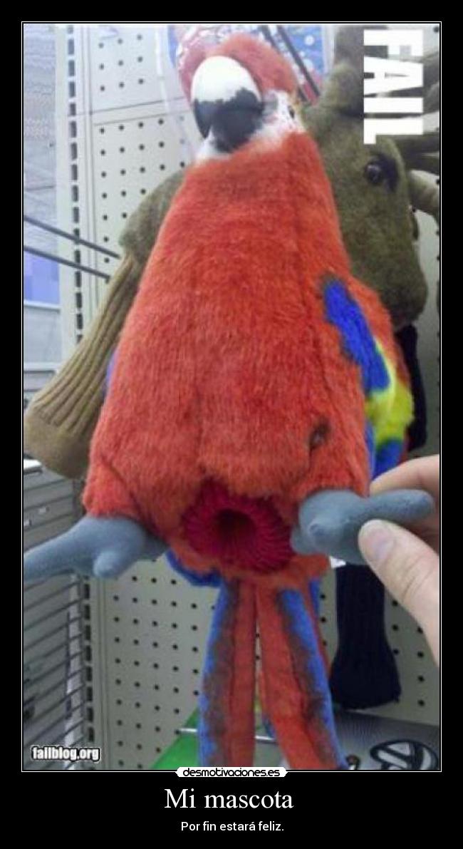 Mi mascota  - Por fin estará feliz.