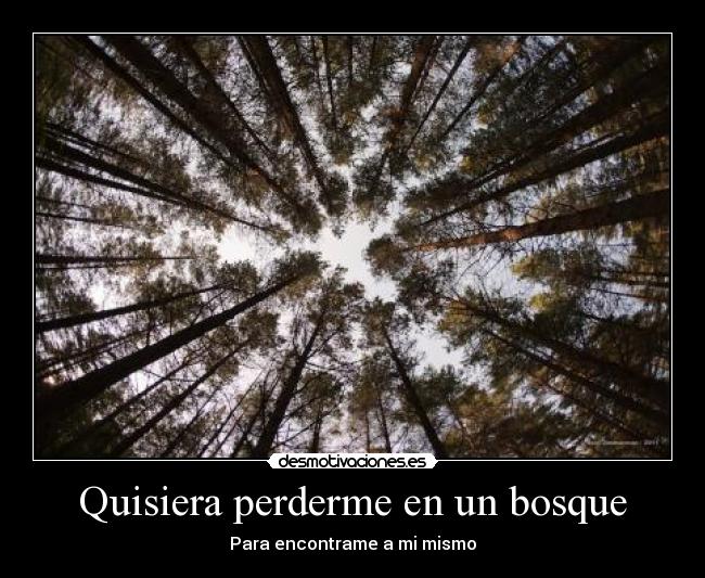 Quisiera perderme en un bosque -