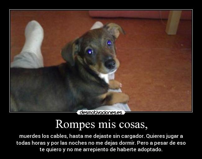 Rompes mis cosas, - 