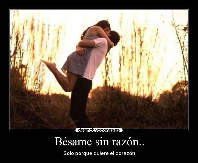 carteles besame sin razon desmotivaciones