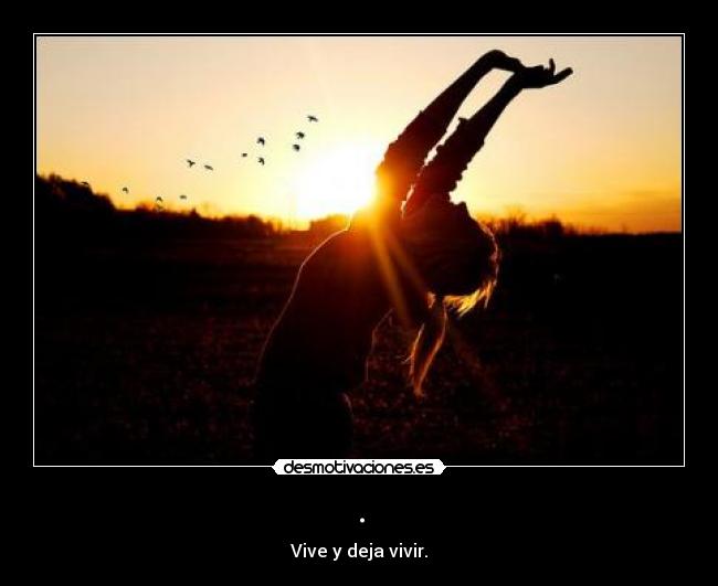 carteles vivir dejar vivir vida desmotivaciones