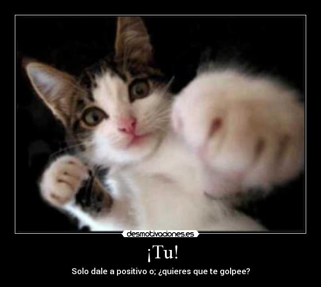 ¡Tu! - Solo dale a positivo o; ¿quieres que te golpee?