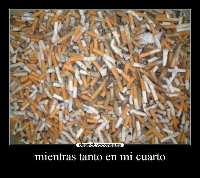 mientras tanto en mi cuarto - 