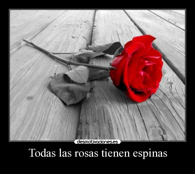 Todas las rosas tienen espinas -