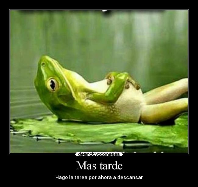 Mas tarde - Hago la tarea por ahora a descansar