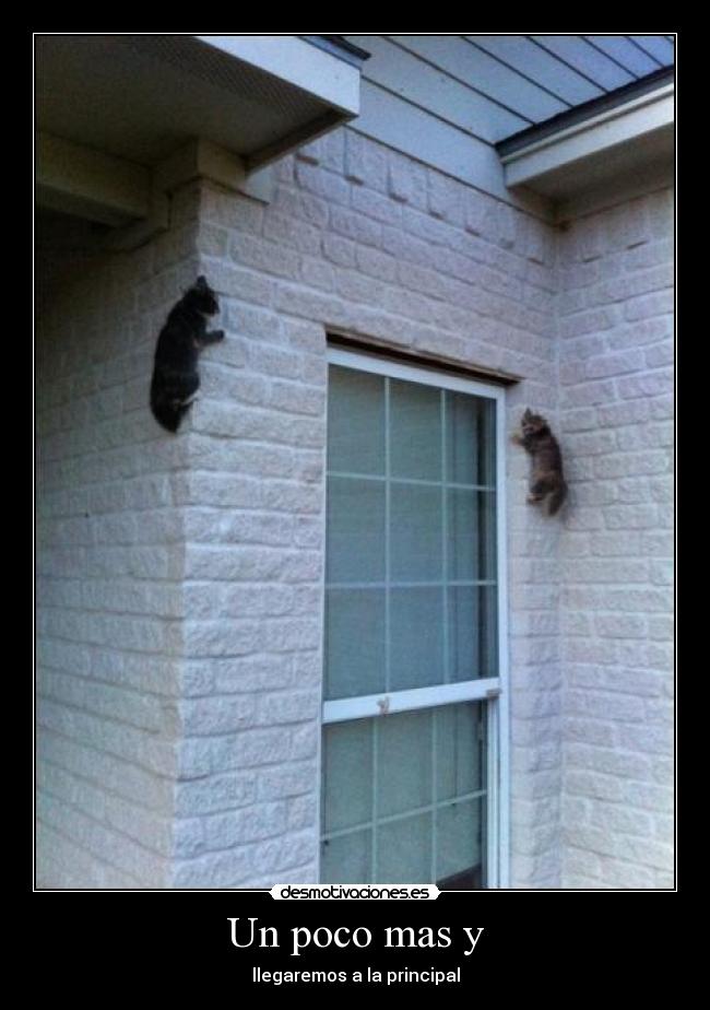 Un poco mas y - llegaremos a la principal