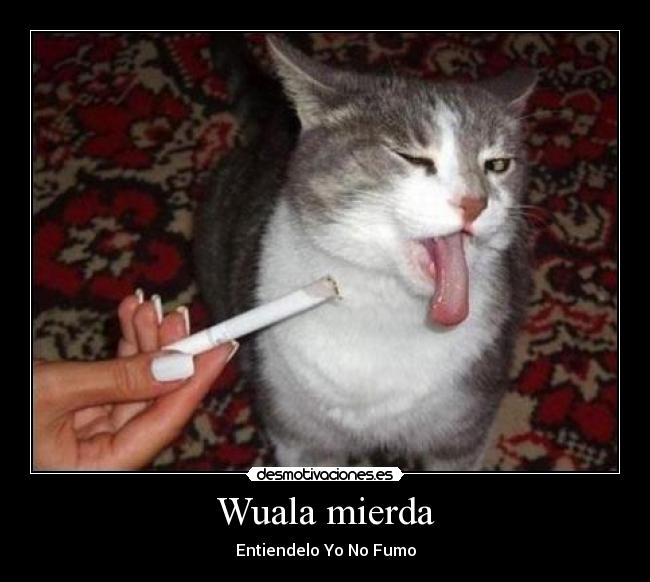 Wuala mierda - Entiendelo Yo No Fumo