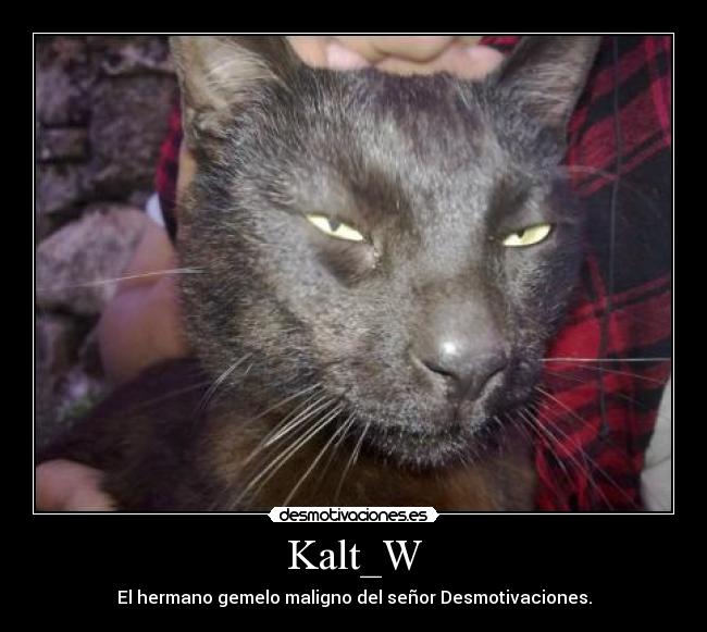 Kalt_W - El hermano gemelo maligno del señor Desmotivaciones.