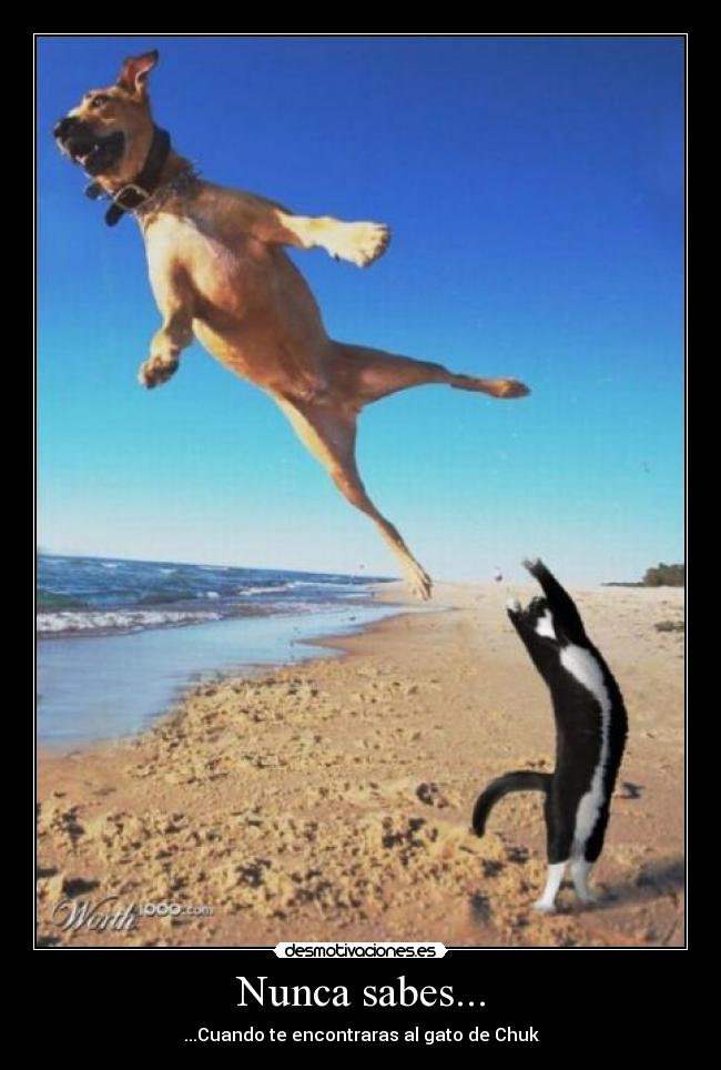 Nunca sabes... - 