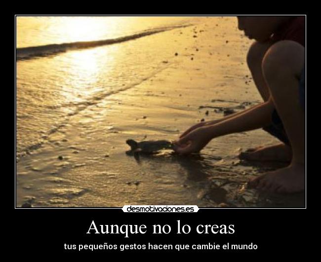 Aunque no lo creas - tus pequeños gestos hacen que cambie el mundo