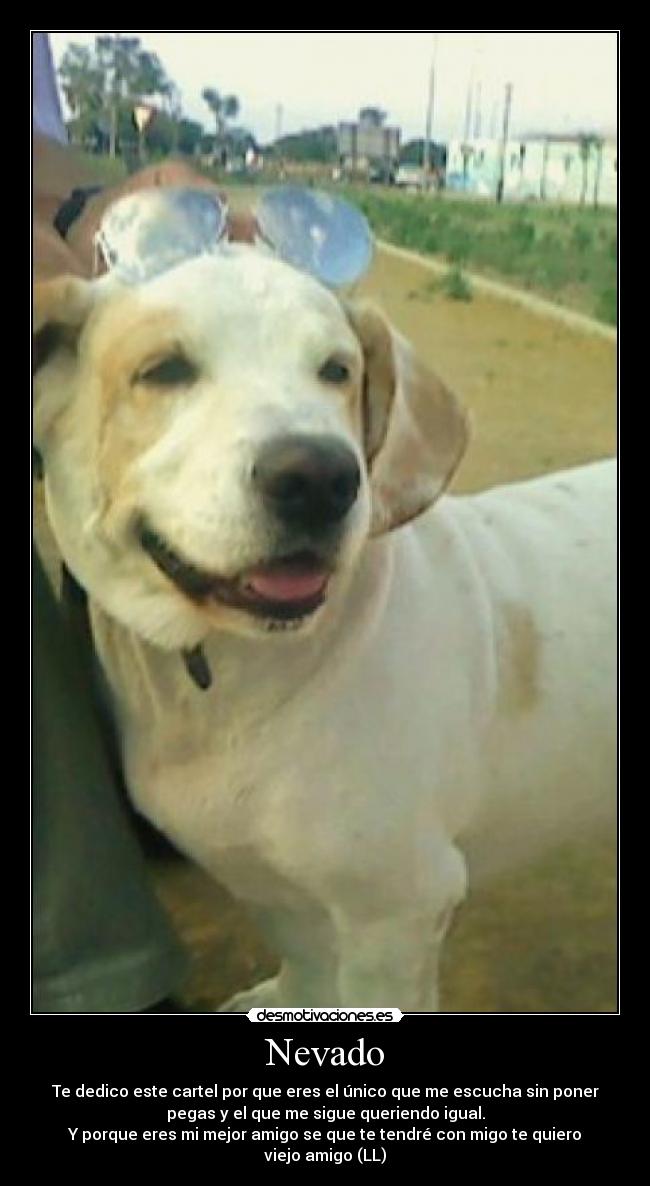 Nevado - Te dedico este cartel por que eres el único que me escucha sin poner
pegas y el que me sigue queriendo igual.
Y porque eres mi mejor amigo se que te tendré con migo te quiero
viejo amigo (LL)
