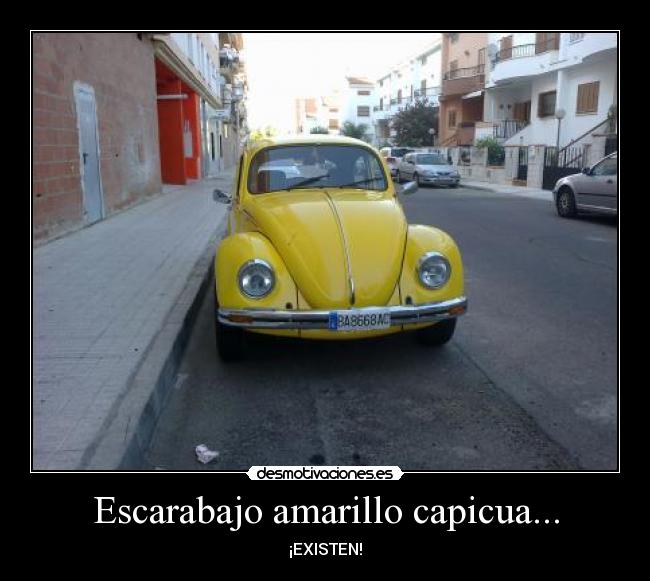 Escarabajo amarillo capicua... - ¡EXISTEN!