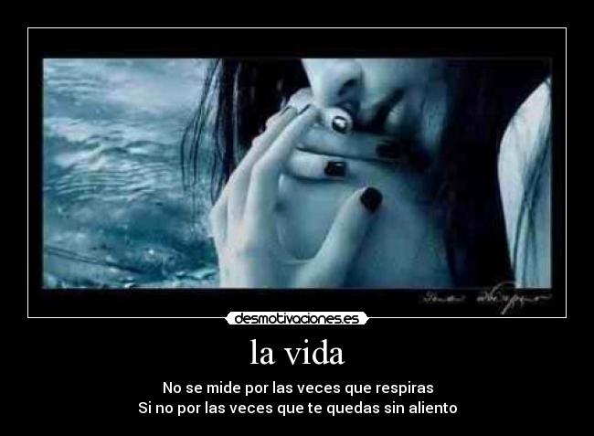 la vida - 
