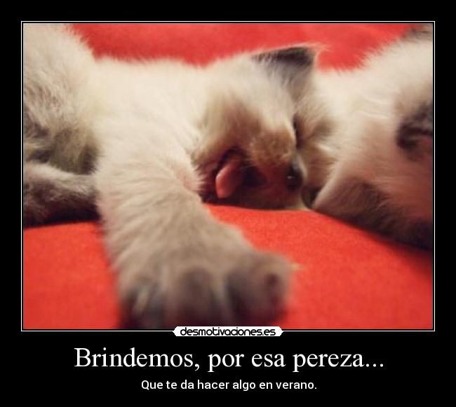 Brindemos, por esa pereza... - 