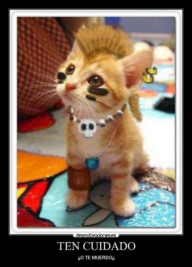 carteles gten cuidado desmotivaciones