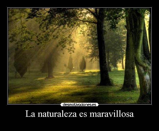 La naturaleza es maravillosa - 