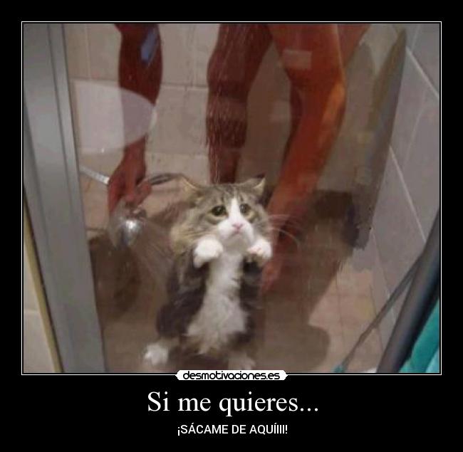 Si me quieres... - 