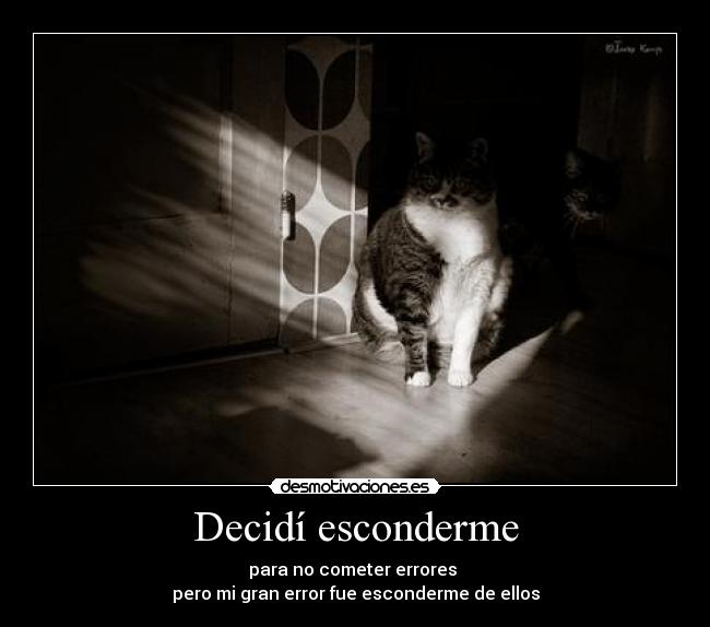 carteles gatoserror desmotivaciones